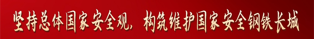 堅持總體國家安全觀，構筑維護國家安全鋼鐵長城